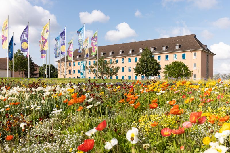 In the background there is the installation Under the same Sun for Reallabor für erneuerbare Fotografie viewed from the entrance of Spinelli Park. In the foreground are blooming summer flowers. In the middle ground, colorful BUGA flags are flying on tall poles. | photo © Lys Y. Seng